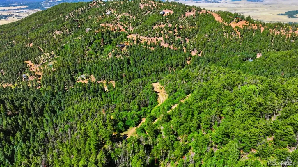 13488 S Firedog Way Larkspur CO 80118