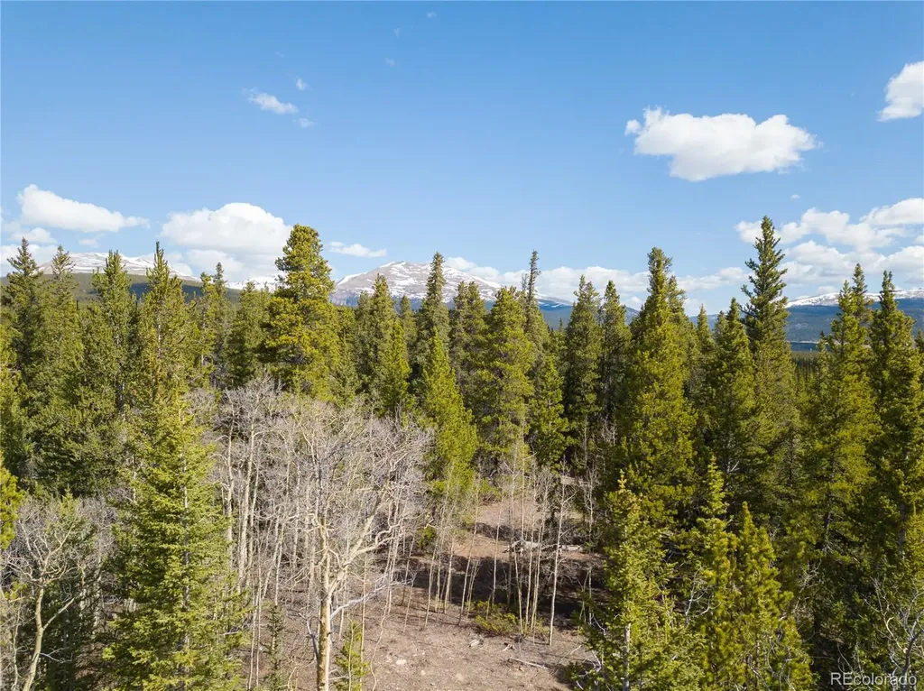 2203 Lakeside Drive Fairplay CO 80440
