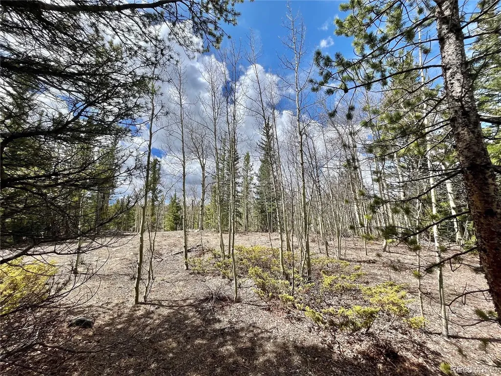 2203 Lakeside Drive Fairplay CO 80440
