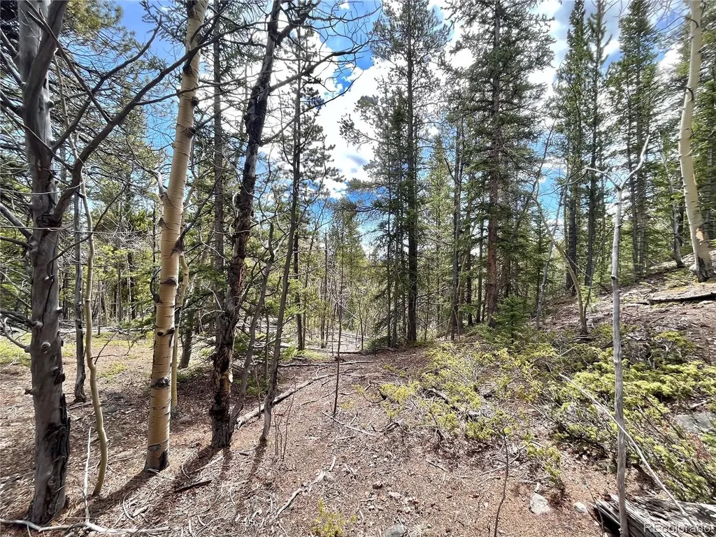 2203 Lakeside Drive Fairplay CO 80440