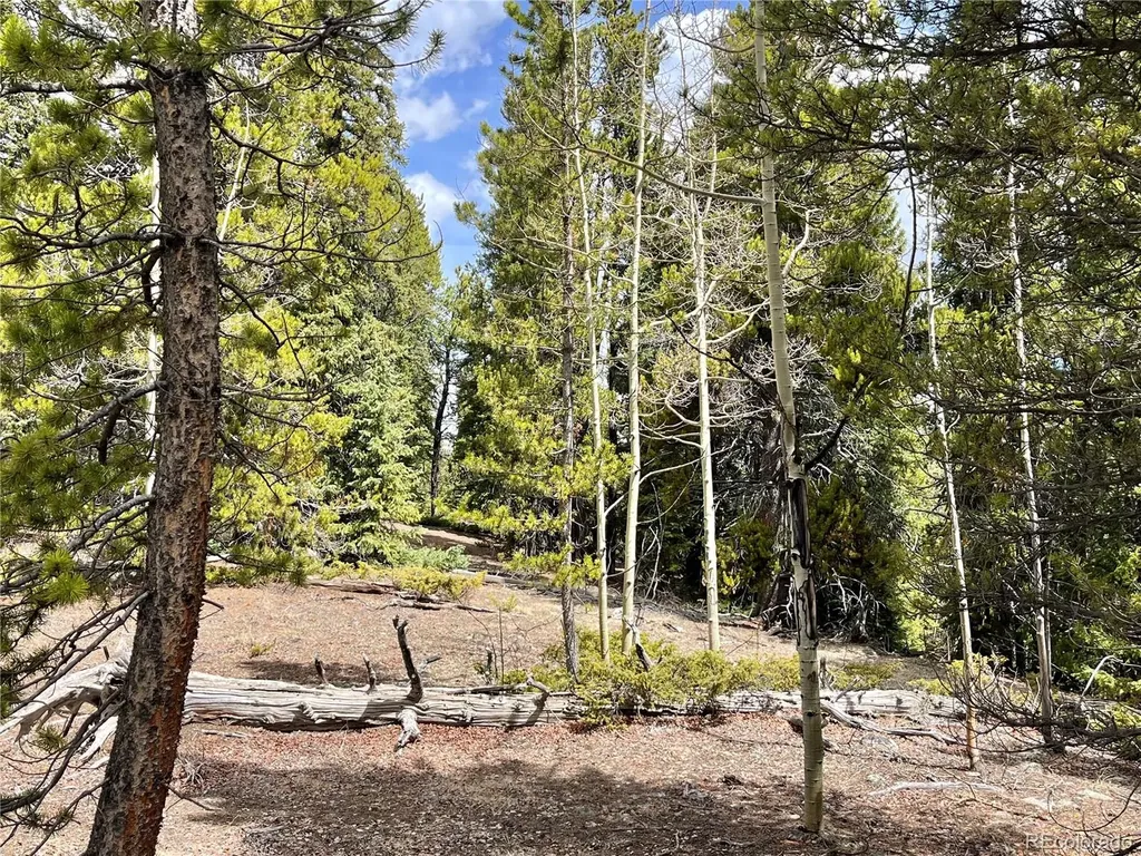 2203 Lakeside Drive Fairplay CO 80440