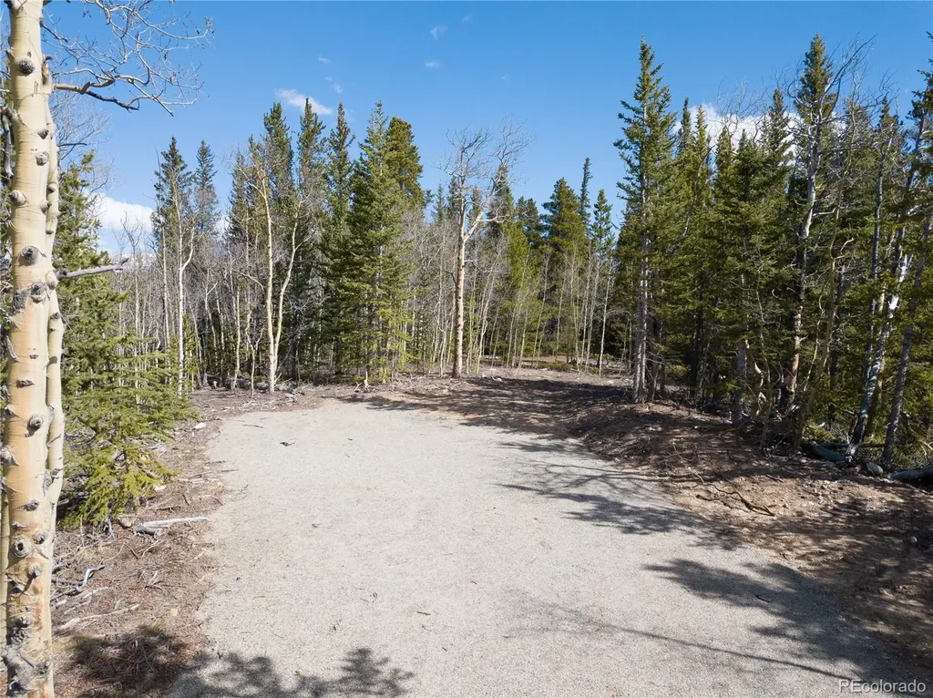 2203 Lakeside Drive Fairplay CO 80440