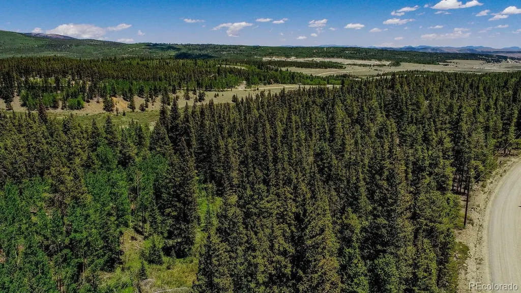 4100 Co Road 1 Fairplay CO 80440