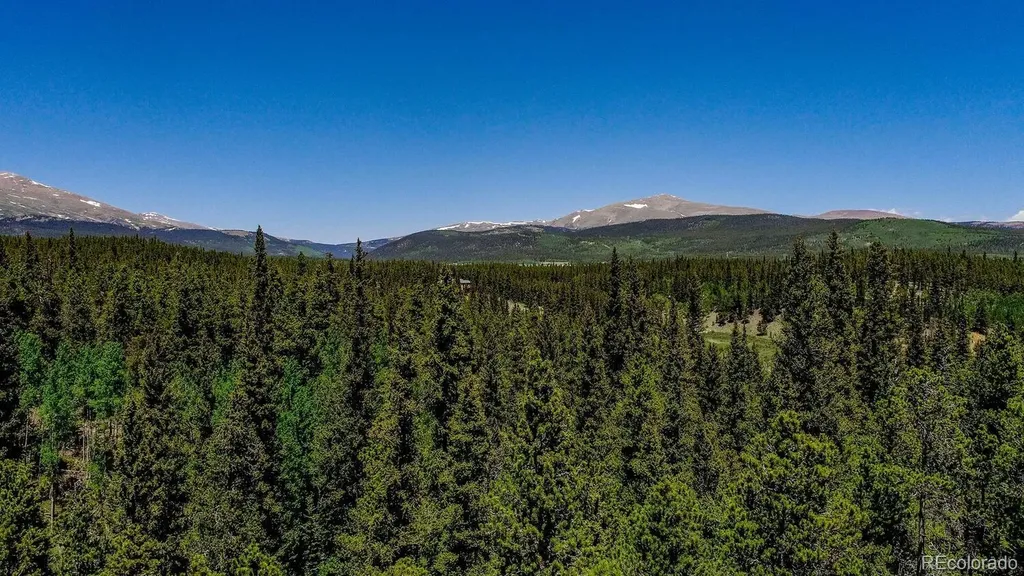 4100 Co Road 1 Fairplay CO 80440