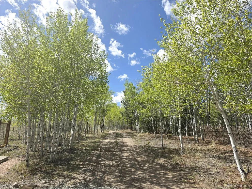 899 Concho Trail Hartsel CO 80449