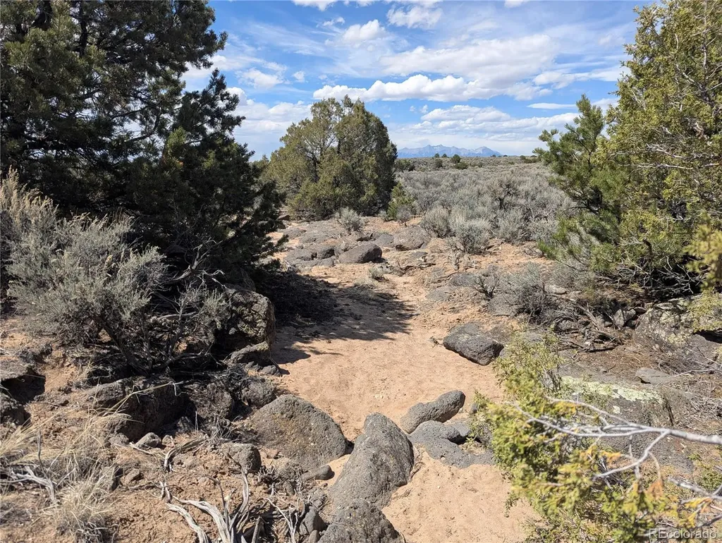 Lot 2-3 Mesitas Road San Luis CO 81152