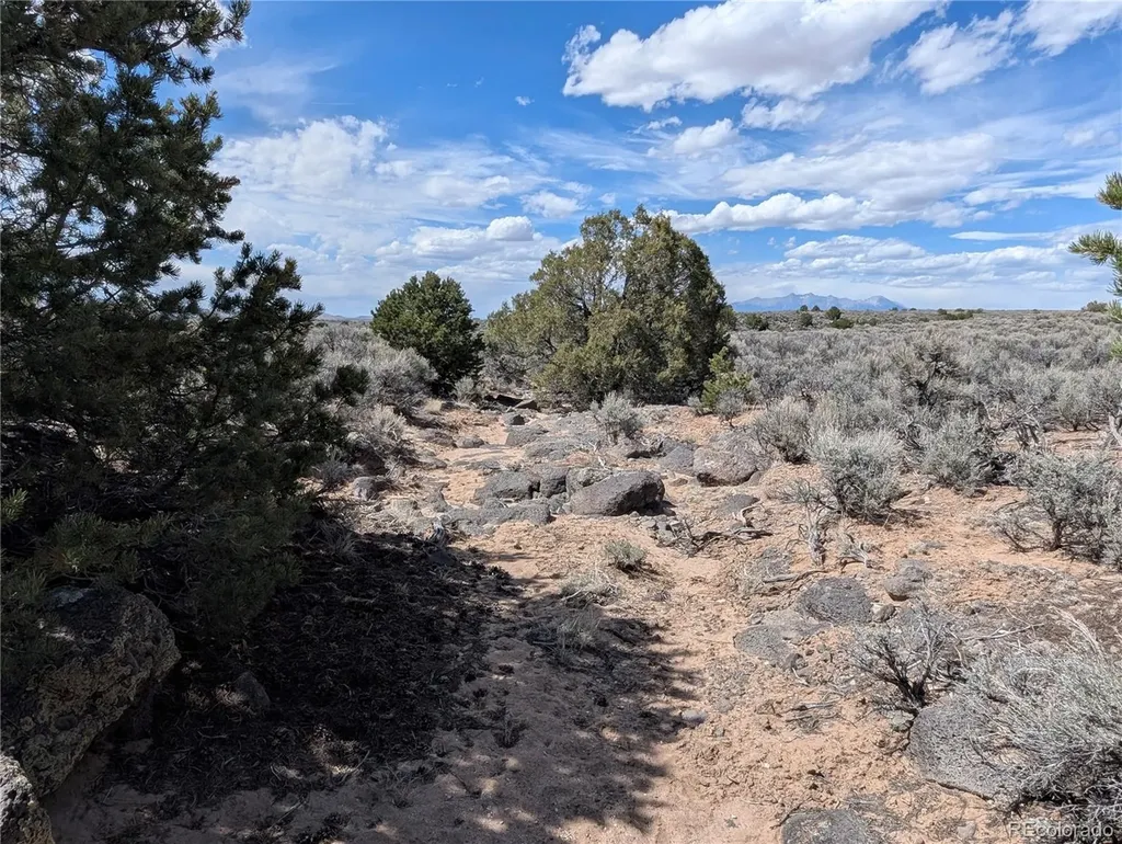 Lot 2-3 Mesitas Road San Luis CO 81152