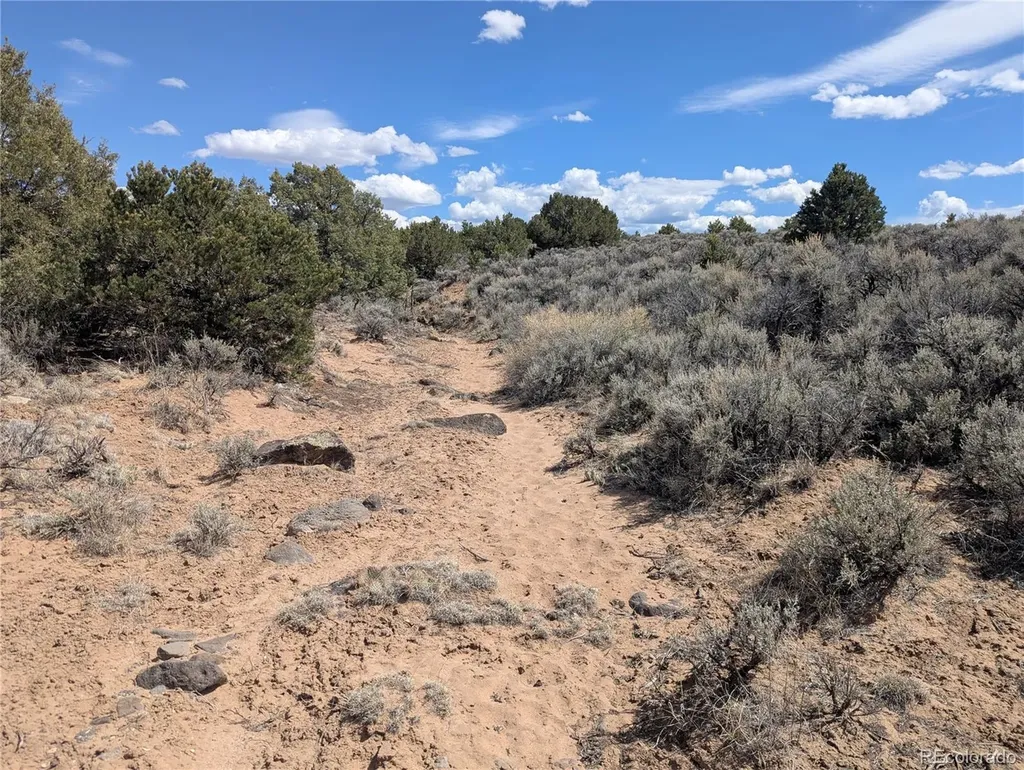 Lot 2-3 Mesitas Road San Luis CO 81152