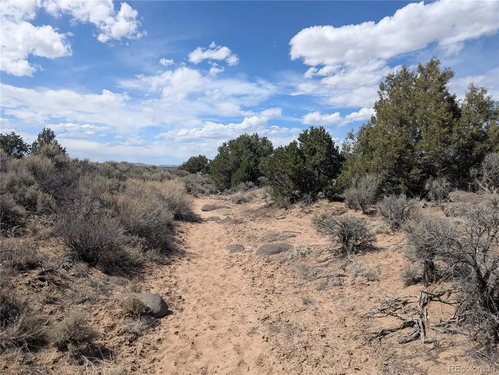 Lot 2-3 Mesitas Road San Luis CO 81152