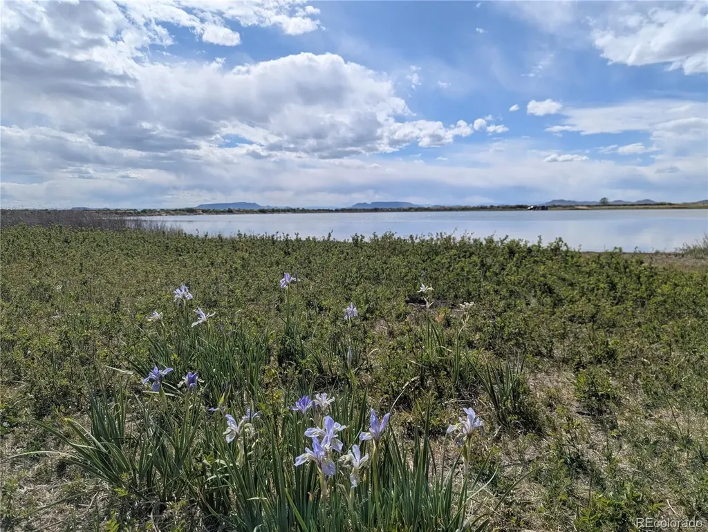 Lot 2-3 Mesitas Road San Luis CO 81152