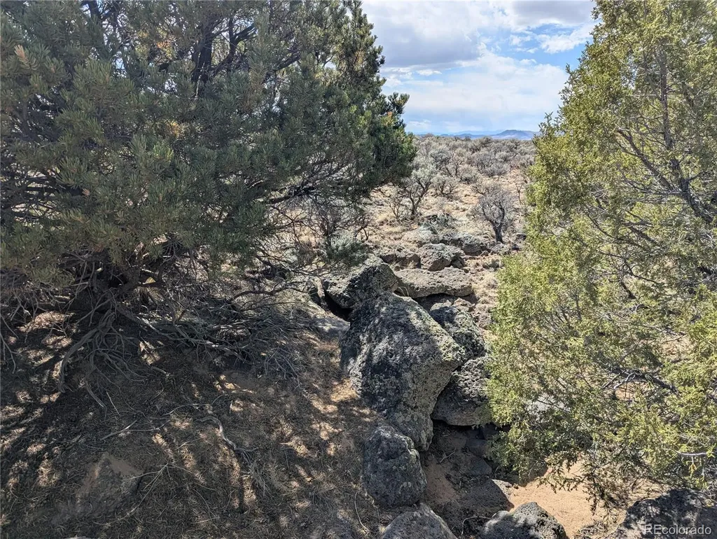 Lot 2-3 Mesitas Road San Luis CO 81152