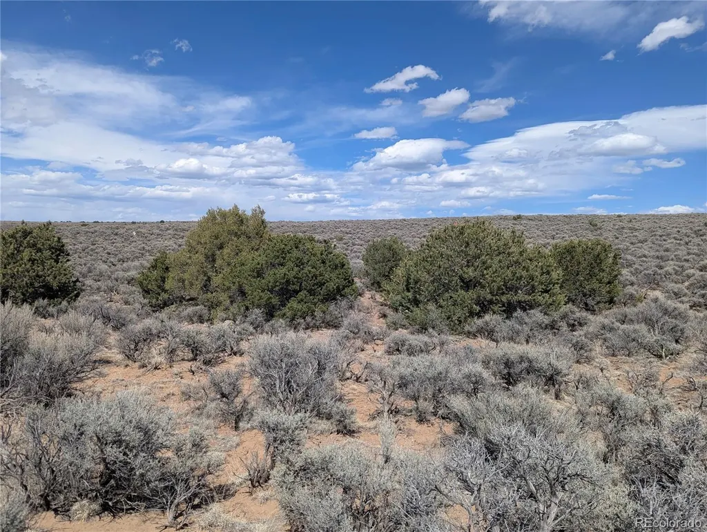 Lot 2-3 Mesitas Road San Luis CO 81152