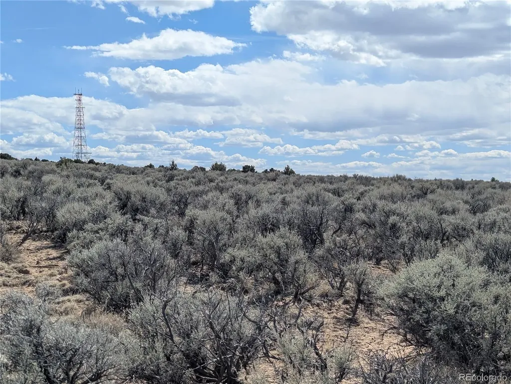 Lot 2-3 Mesitas Road San Luis CO 81152