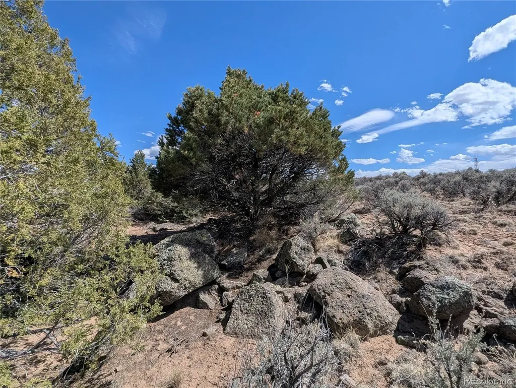 Lot 2-3 Mesitas Road San Luis CO 81152