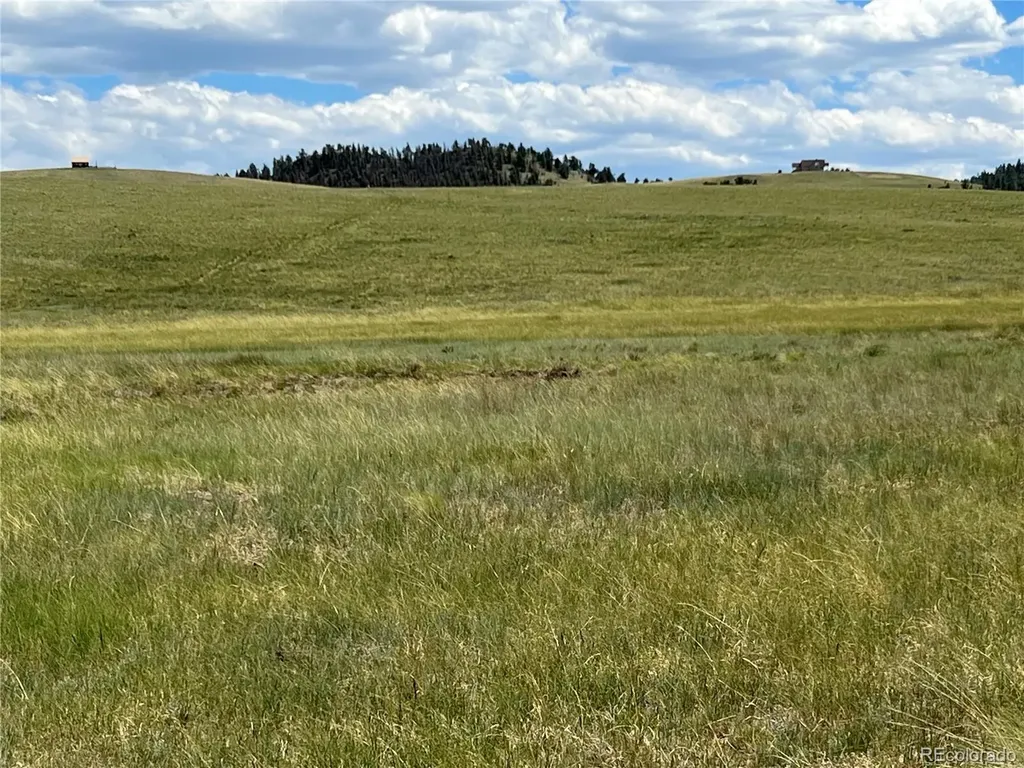 3255 Ranch Road Hartsel CO 80449