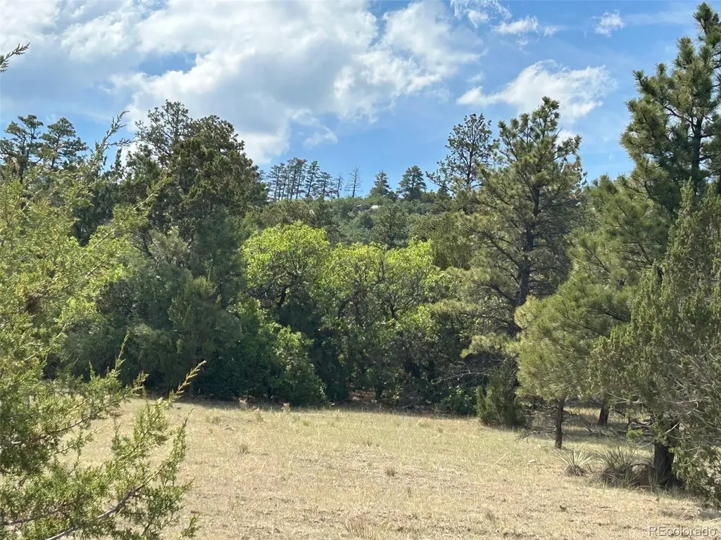 Lot 26 Tbd Signal Mountain Ranch Beulah CO 81023