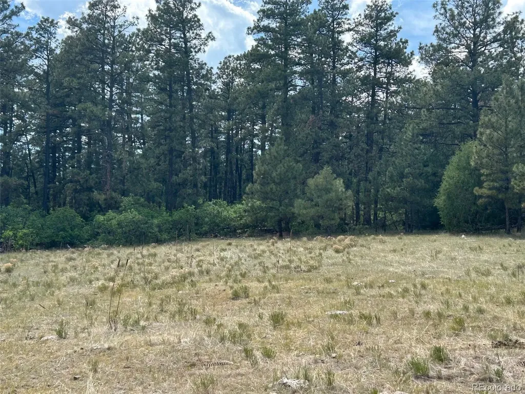 Lot 26 Tbd Signal Mountain Ranch Beulah CO 81023