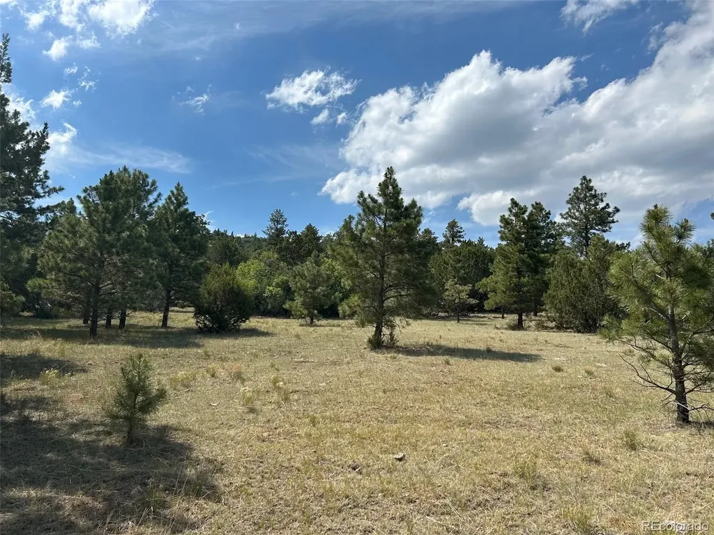 Lot 26 Tbd Signal Mountain Ranch Beulah CO 81023