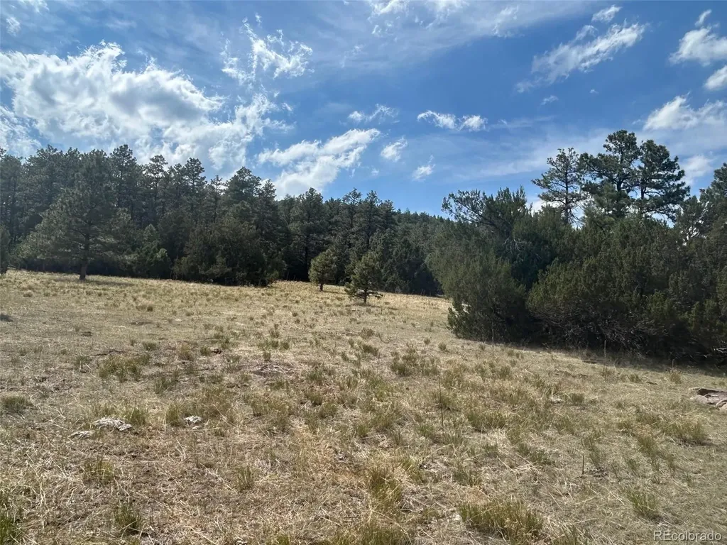 Lot 26 Tbd Signal Mountain Ranch Beulah CO 81023