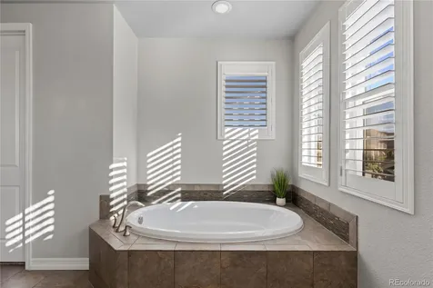 3793 Spanish Oaks Trail Castle Rock CO 80108