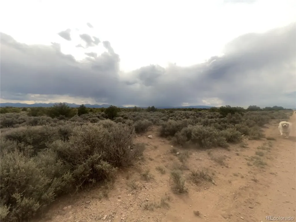 Lot 8 N. Melby Ranch Road San Luis CO 81152