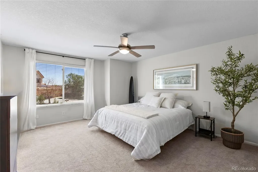 3050 Springbriar Drive Castle Rock CO 80109