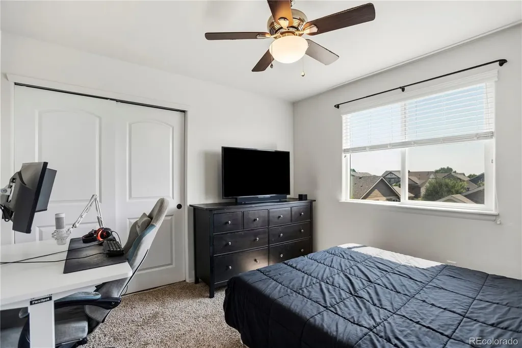 446 Ptarmigan Street Severance CO 80550