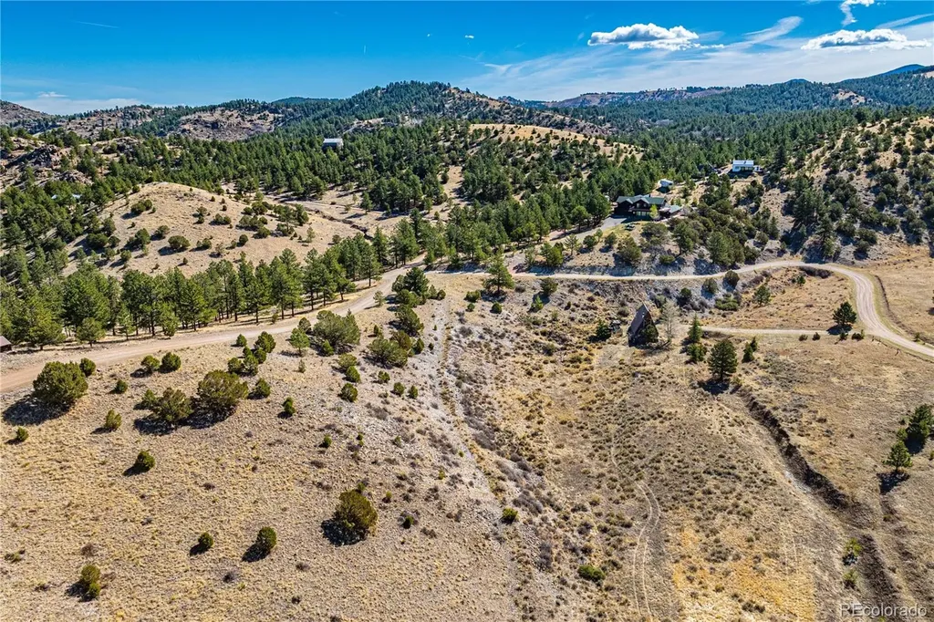 177 Bunker Hill Circle Silver Cliff CO 81252