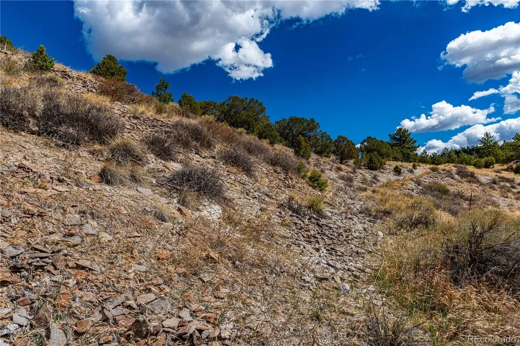 177 Bunker Hill Circle Silver Cliff CO 81252