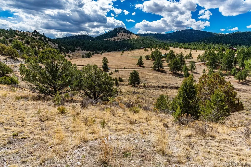 177 Bunker Hill Circle Silver Cliff CO 81252