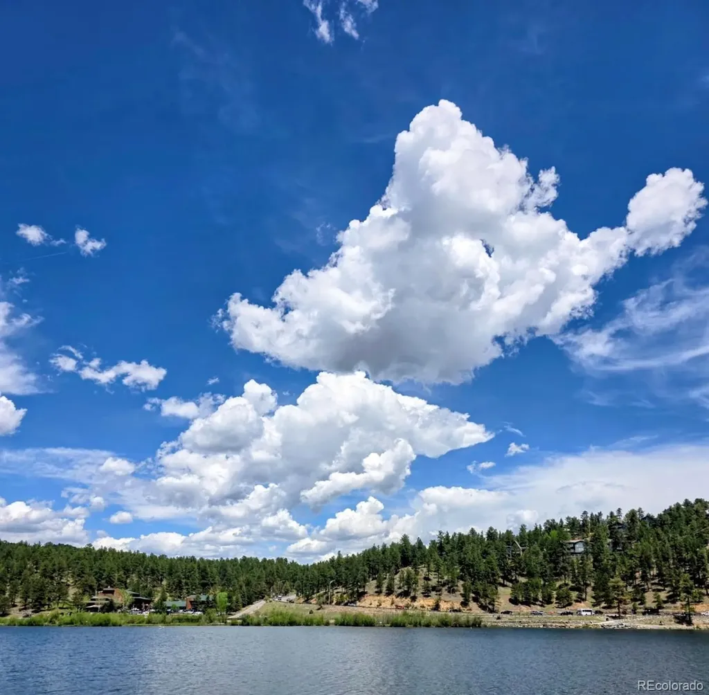 4782 S Cedar Road Evergreen CO 80439