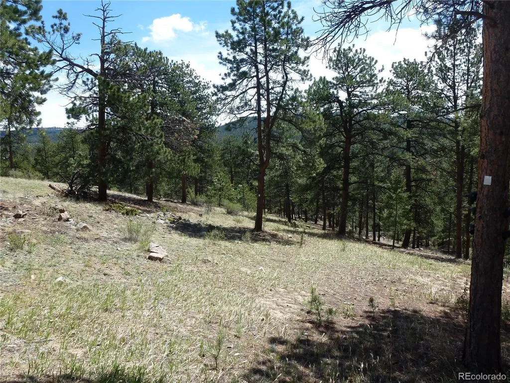 13694 Drake Court Pine CO 80470