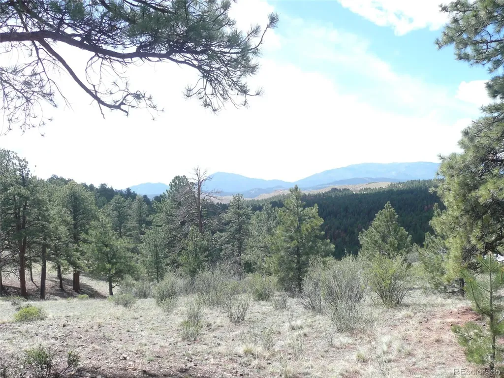 13694 Drake Court Pine CO 80470
