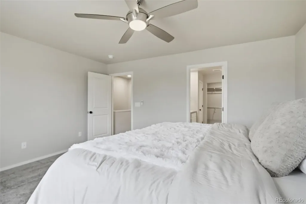 3642 Ronald Reagan Avenue Wellington CO 80549