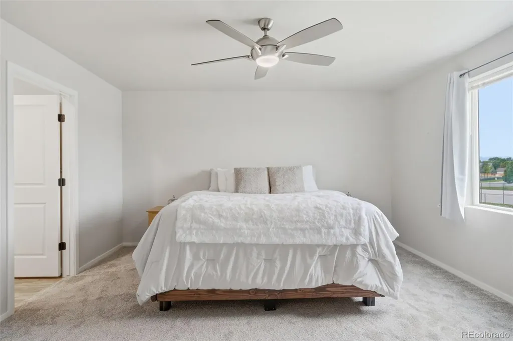 3642 Ronald Reagan Avenue Wellington CO 80549