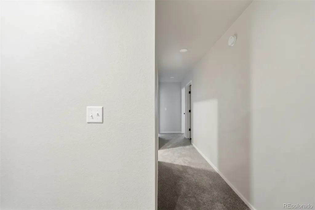 3642 Ronald Reagan Avenue Wellington CO 80549