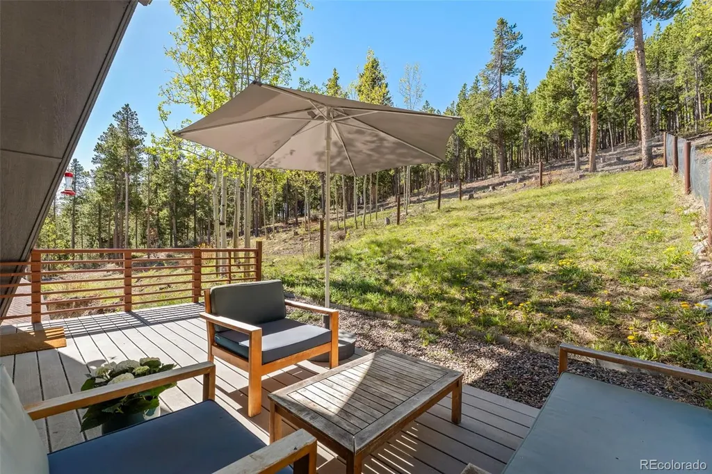 56 Valley View Drive Nederland CO 80466