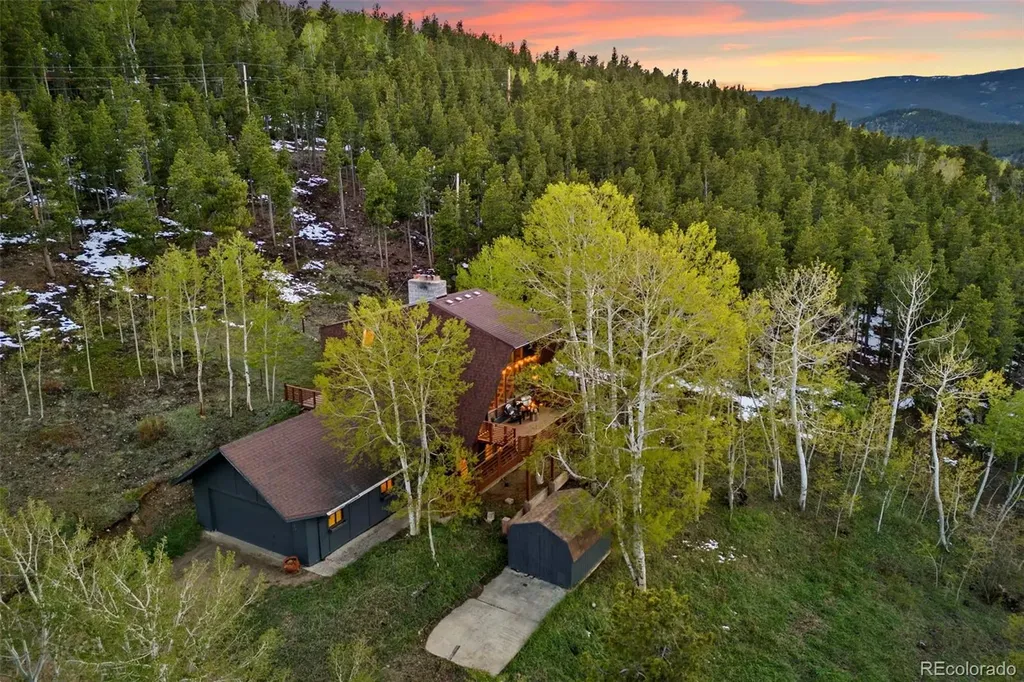 56 Valley View Drive Nederland CO 80466
