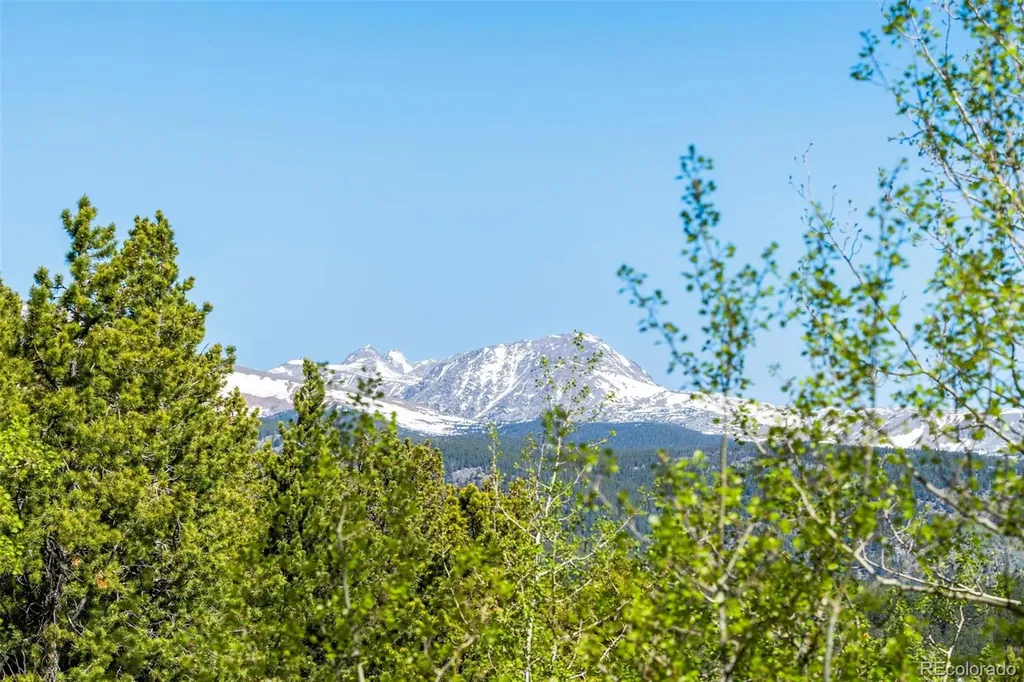 56 Valley View Drive Nederland CO 80466
