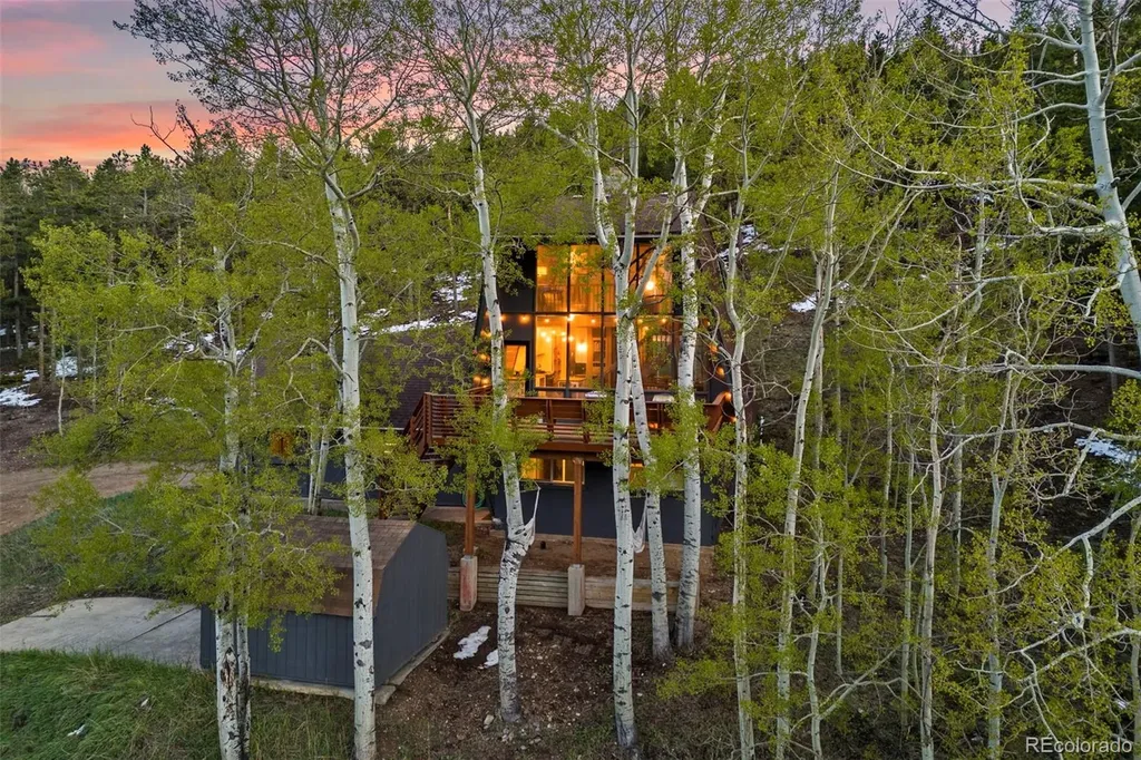 56 Valley View Drive Nederland CO 80466