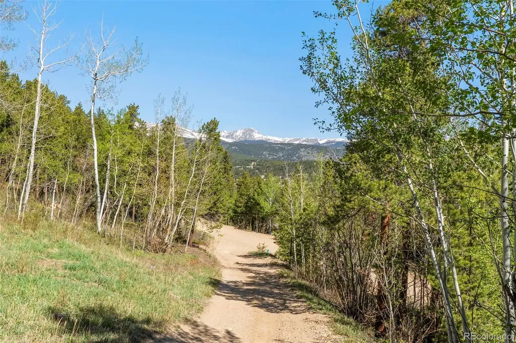 56 Valley View Drive Nederland CO 80466
