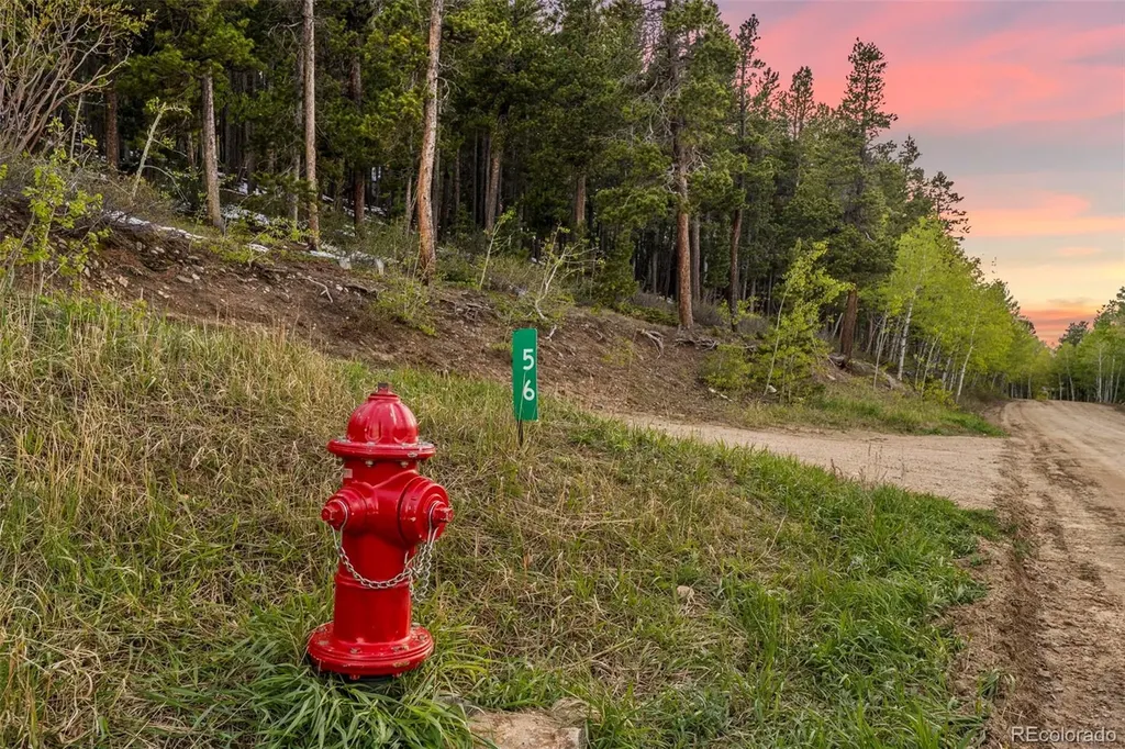 56 Valley View Drive Nederland CO 80466