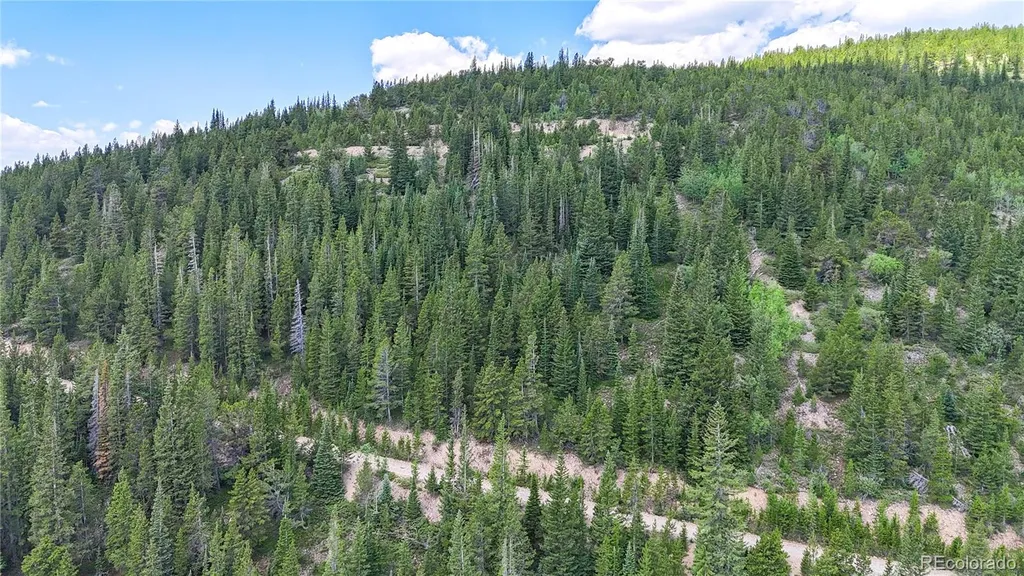 508 Hilltop Road Idaho Springs CO 80452