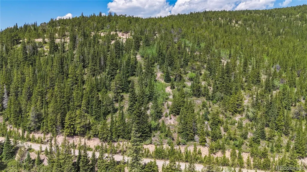 508 Hilltop Road Idaho Springs CO 80452