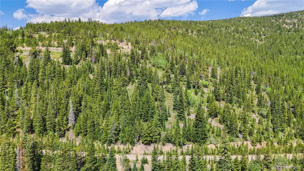 508 Hilltop Road Idaho Springs CO 80452