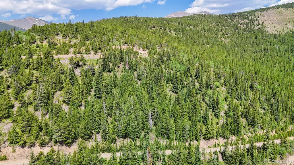 508 Hilltop Road Idaho Springs CO 80452