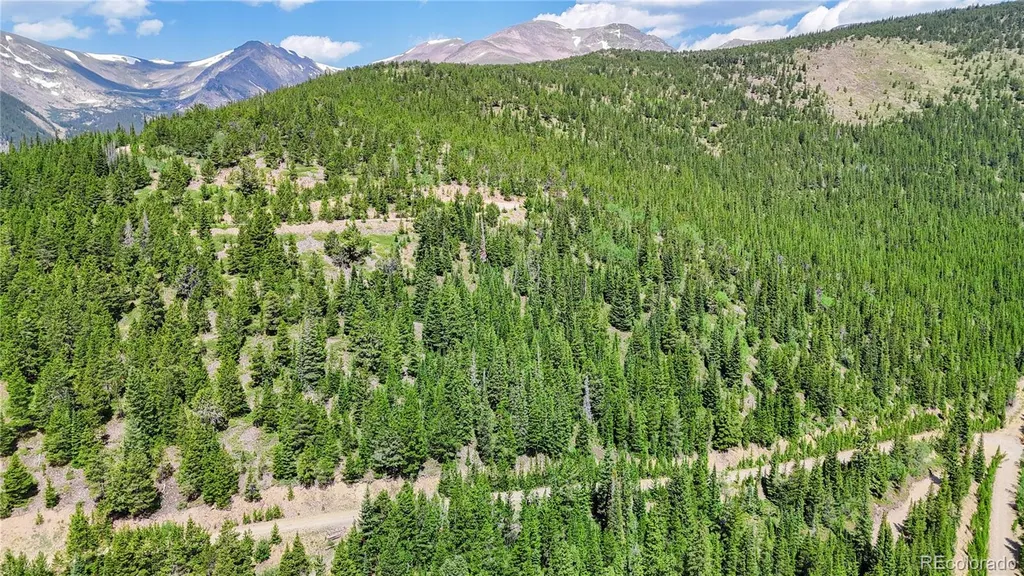 508 Hilltop Road Idaho Springs CO 80452