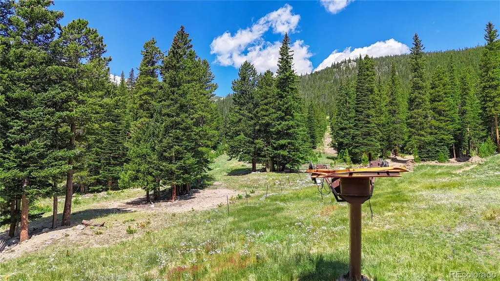 508 Hilltop Road Idaho Springs CO 80452