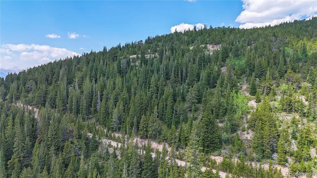 508 Hilltop Road Idaho Springs CO 80452