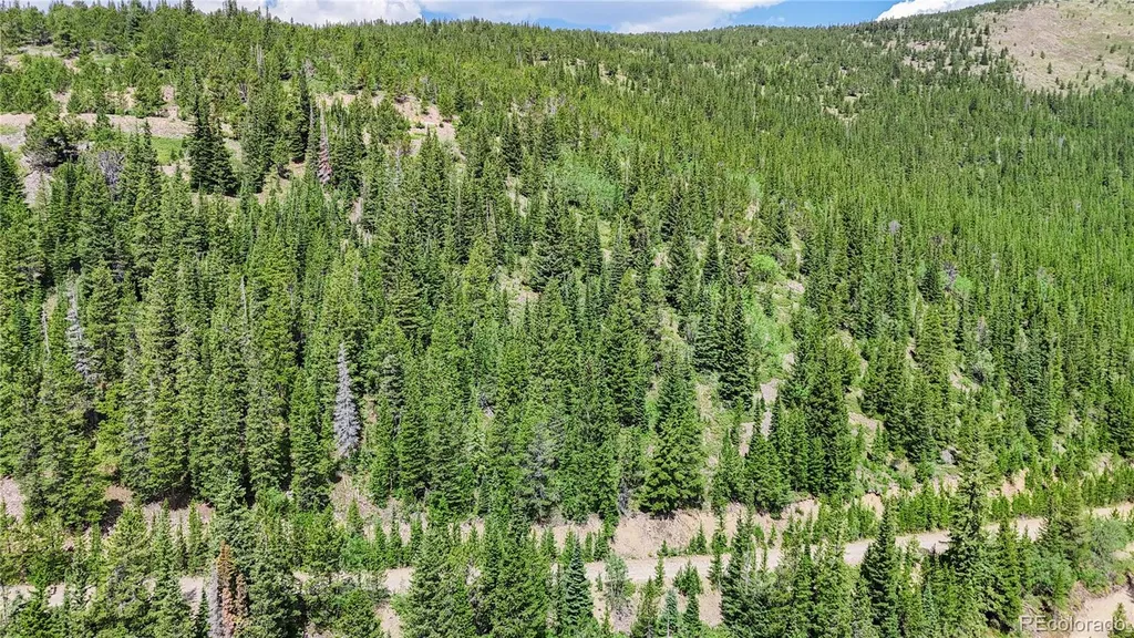 508 Hilltop Road Idaho Springs CO 80452